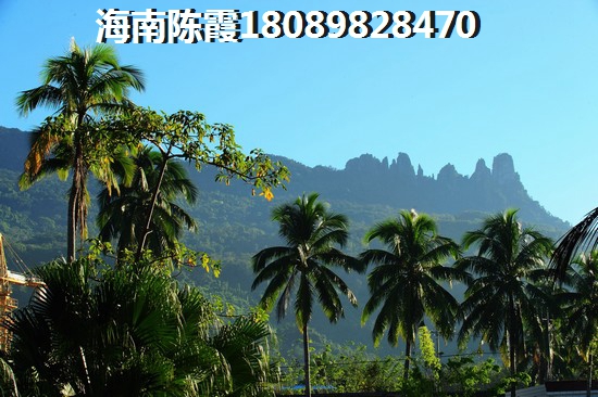 海南哪里买房适合养老？